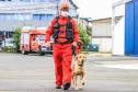 Governo do Paraná envia 10 bombeiros e cães para buscas a desaparecidos em Petrópolis
