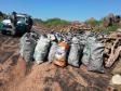 Polícia Ambiental apreende 242 toneladas de carvão e aplica mais de R$ 355 mil em multas