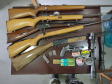 Polícia Ambiental apreende seis armas de fogo e resgata 43 aves silvestres no Norte do estado