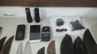 PM flagra extração ilegal de palmito ameaçado de extinção em Guaratuba