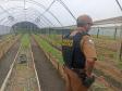 Foto: Divulgação/PMPR