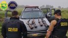  Policias Militares do 1º BPM recuperam armas e prendem suspeitos de roubo a uma chácara em Palmeira/PR.  