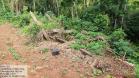 Batalhão Ambiental da PM flagra crimes ambientais em Altamira e Maringá. 