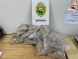 Batalhão de Polícia de Fronteira apreende Ecstasy