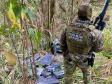 Foram encontrados e apreendidos aproximadamente 469,5 kg de maconha