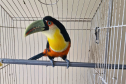 PMPR