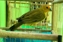 PMPR