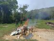 Apreensão de palmito em Adrianópolis