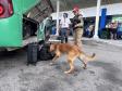 A Operação Cannis Fortis mobilizou todos os batalhões e unidades da corporação que possuem cães policiais
