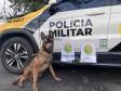 A Operação Cannis Fortis mobilizou todos os batalhões e unidades da corporação que possuem cães policiais