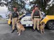 A Operação Cannis Fortis mobilizou todos os batalhões e unidades da corporação que possuem cães policiais