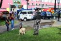 Polícia Militar do Paraná integra evento em alusão ao Dia Internacional da Mulher