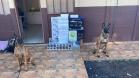 Polícia Militar do Paraná realiza apreensão milionária de mercadorias na região oeste do estado