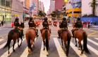 10_-_horse_road_-_eduardo_quesada_piazzalunga_junior.jpg