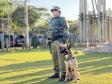 Atuação conta com drones, cães e helicópteros para ampliar a presença policial
