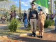 A Polícia Militar participa de maneira estratégica, empregando seu efetivo e unidades especializadas