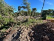 PMPR flagra desmatamento e loteamento irregular de terrenos no Ganchinho, em Curitiba