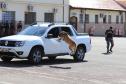 PMPR forma novos policiais especializados no uso de cães e reforça atuação no combate ao crime no Estado