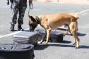 PMPR forma novos policiais especializados no uso de cães e reforça atuação no combate ao crime no Estado