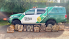 PMPR autua responsável por manter aves silvestres em cativeiro em Medianeira