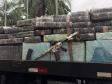 Após buscas detalhadas, os militares estaduais localizaram aproximadamente 5.100 quilos de maconha escondidos sob um carregamento de mandioca