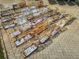 PMPR e IAT apreendem 95 aves e aplicam mais de R$ 400 mil em multas durante operação em Guarapuava