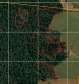 PMPR utiliza imagens de satélite e identifica desmatamento ilegal na Lapa