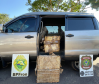 Mais de 2,6 toneladas de maconha são apreendidas em ações da PMPR no Oeste do Estado