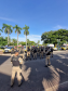 Operação Omnis é lançada pelo 3º CRPM em 116 municípios do Noroeste do Paraná