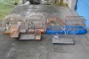16 02 18 MatinhosResgaste de aves que estavam prontas para serem comercializadas ilegalmente