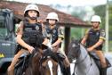 Curitiba, 16 de Fevereiro de 2018. Operação Polícia Militar e Prefeitura