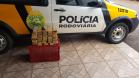 Quase 20 quilos de maconha são apreendidos pelo BPRv em Palotina (PR)