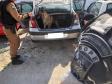 Militares estaduais passam por capacitação de adestramento e condução de cães farejadores com o BOPE
