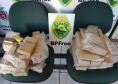 PM faz apreensão de drogas, munições e contrabando na fronteira do estado 