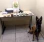 PM prende casal com quase cinco quilos de drogas, armas e mais de R$ 100 mil reais nos Campos Gerais


