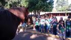 Crianças fazem visita a Batalhão da PM em Cascavel (PR), Oeste do estado
