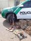 Polícia Ambiental apreende 13 animais silvestres que eram mantidos em cativeiro no Norte do estado; um homem preso 