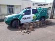 Polícia Ambiental apreende 13 animais silvestres que eram mantidos em cativeiro no Norte do estado; um homem preso 