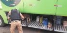Na Fronteira, Polícia Militar apreende contrabando avaliado em R$150 mil