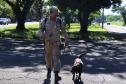 Paraná sedia Certificação Nacional em Cães em Foz do Iguaçu, no Oeste do estado