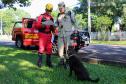Paraná sedia Certificação Nacional em Cães em Foz do Iguaçu, no Oeste do estado