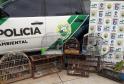 Em situações distintas, Polícia Ambiental apreende aves nativas e mercadoria contrabandeada em Umuarama (PR)
