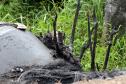 Dupla de policiais militares contém incêndio com baldinho e salva idosa de 74 anos com dificuldades de locomoção