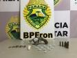 BPFron faz diversas apreensões em dois dias no Oeste do estado; mais de 17 quilos de maconha são apreendidos