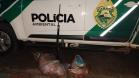 Mais de 27 quilos de carne de capivara são apreendidos e um homem foi preso por porte ilegal de arma no Oeste do estado