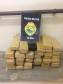 Emprego de cães de faro na região de Guarapuava resulta em maconha e materiais apreendidos