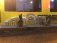 Canil do 10º Batalhão da PM localiza mais de 260 quilos de crack e cocaína em apoio à PRF