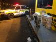 Canil do 10º Batalhão da PM localiza mais de 260 quilos de crack e cocaína em apoio à PRF