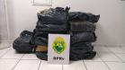 Mais de meia tonelada de maconha é apreendida pela PM em Londrina (PR) 