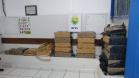 Mais de meia tonelada de maconha é apreendida pela PM em Londrina (PR) 